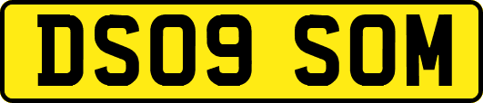 DS09SOM