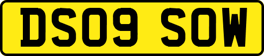 DS09SOW
