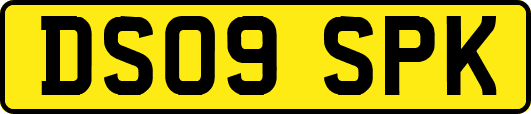 DS09SPK