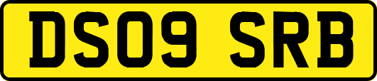 DS09SRB