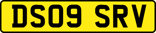 DS09SRV