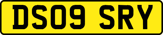 DS09SRY