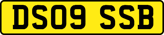 DS09SSB