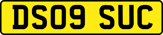 DS09SUC