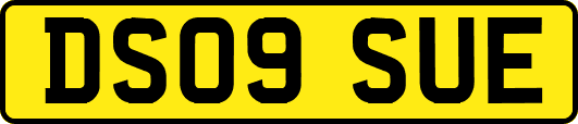 DS09SUE