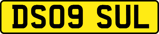 DS09SUL