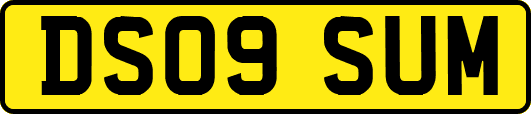 DS09SUM