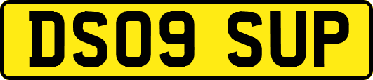 DS09SUP