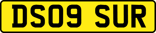 DS09SUR
