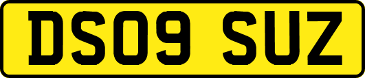DS09SUZ