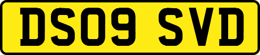 DS09SVD