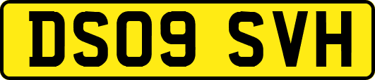 DS09SVH