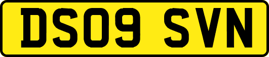 DS09SVN