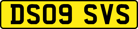 DS09SVS