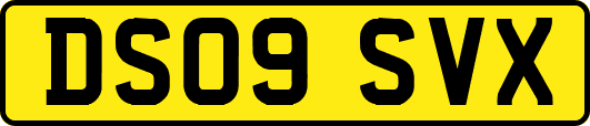 DS09SVX