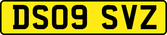 DS09SVZ
