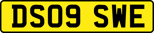 DS09SWE