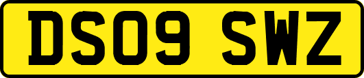 DS09SWZ