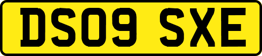 DS09SXE