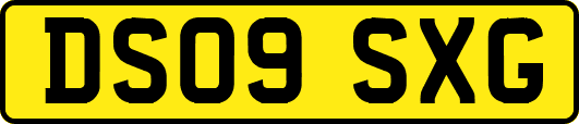 DS09SXG