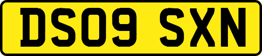 DS09SXN