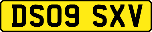 DS09SXV