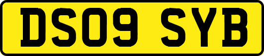 DS09SYB