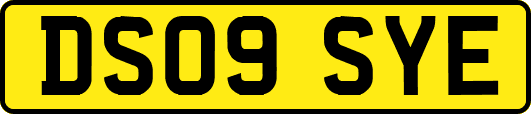 DS09SYE