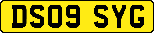 DS09SYG