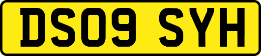 DS09SYH