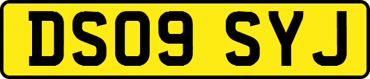 DS09SYJ