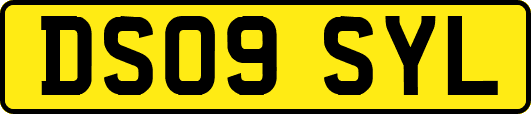 DS09SYL