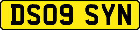 DS09SYN