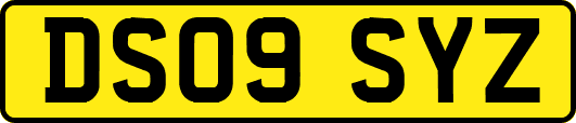 DS09SYZ