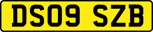 DS09SZB