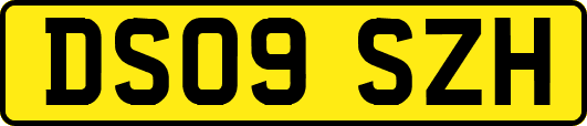 DS09SZH