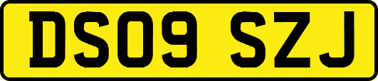 DS09SZJ