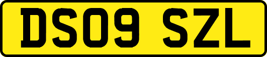 DS09SZL