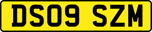 DS09SZM
