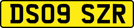 DS09SZR