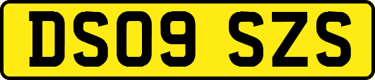 DS09SZS