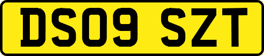 DS09SZT