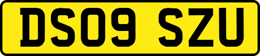 DS09SZU