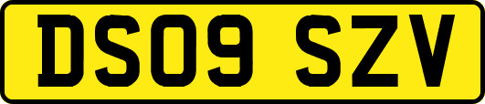 DS09SZV