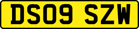 DS09SZW