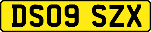 DS09SZX