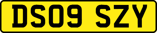 DS09SZY