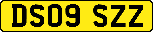DS09SZZ