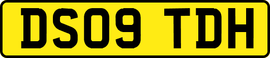 DS09TDH
