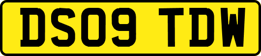 DS09TDW
